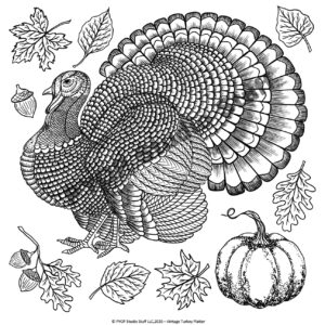 Vintage Turkey Platter