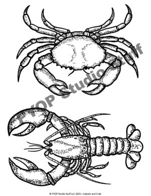 Lobster and Crab